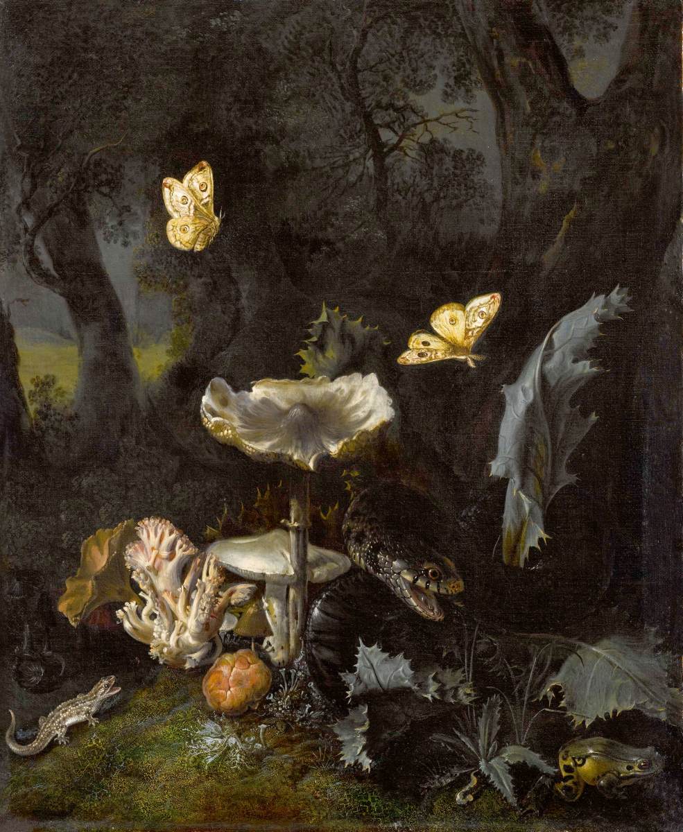 A Forest Floor Still-Life