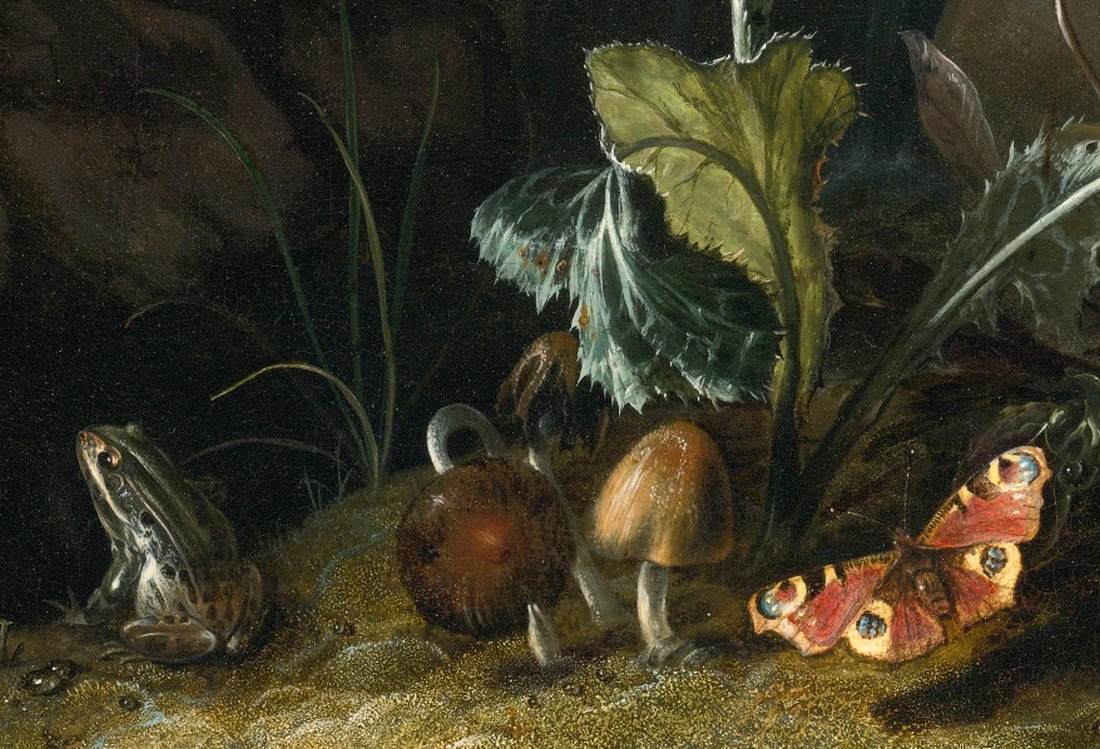 Nocturnal Forest Floor Still-Life (detail)