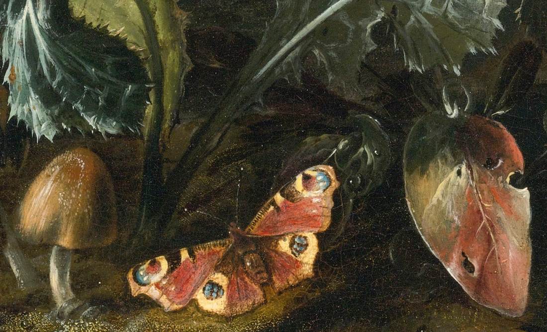 Nocturnal Forest Floor Still-Life (detail)