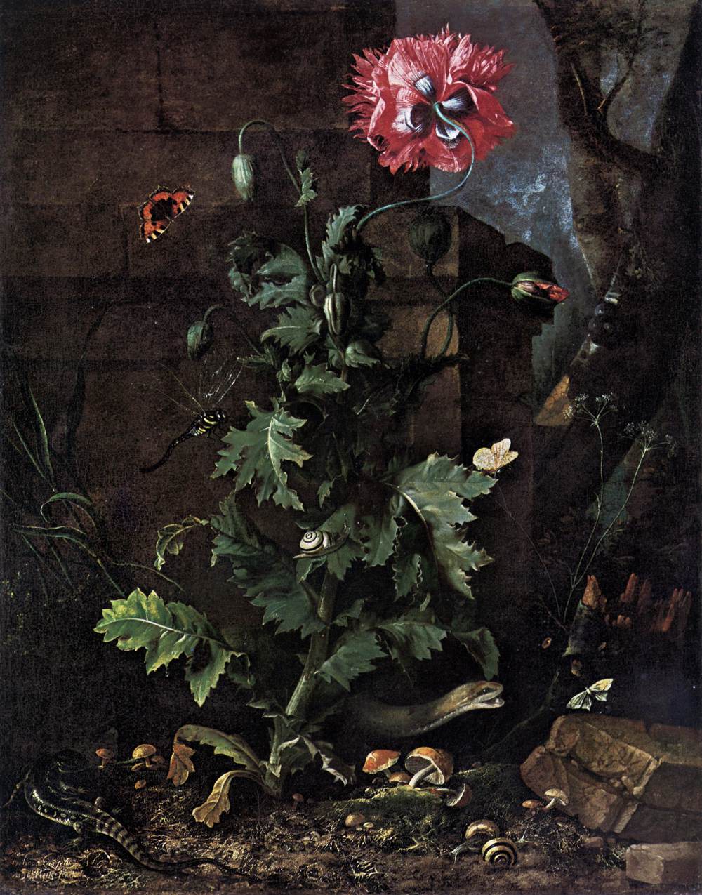 Still-Life with Poppy, Insects, and Reptiles