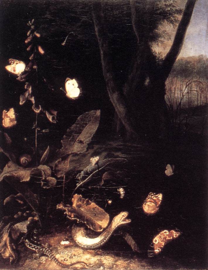 Still-life with Plants and Reptiles