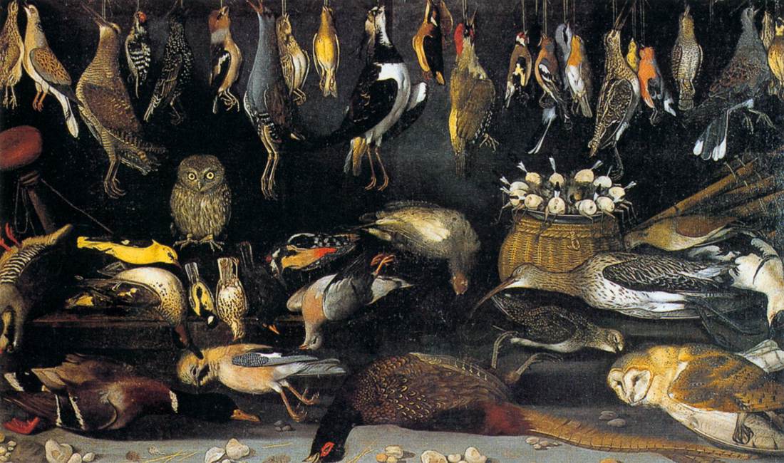 Still-Life with Birds