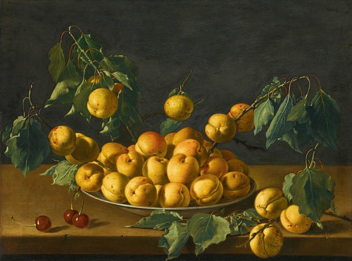 Still-Life of Fruit