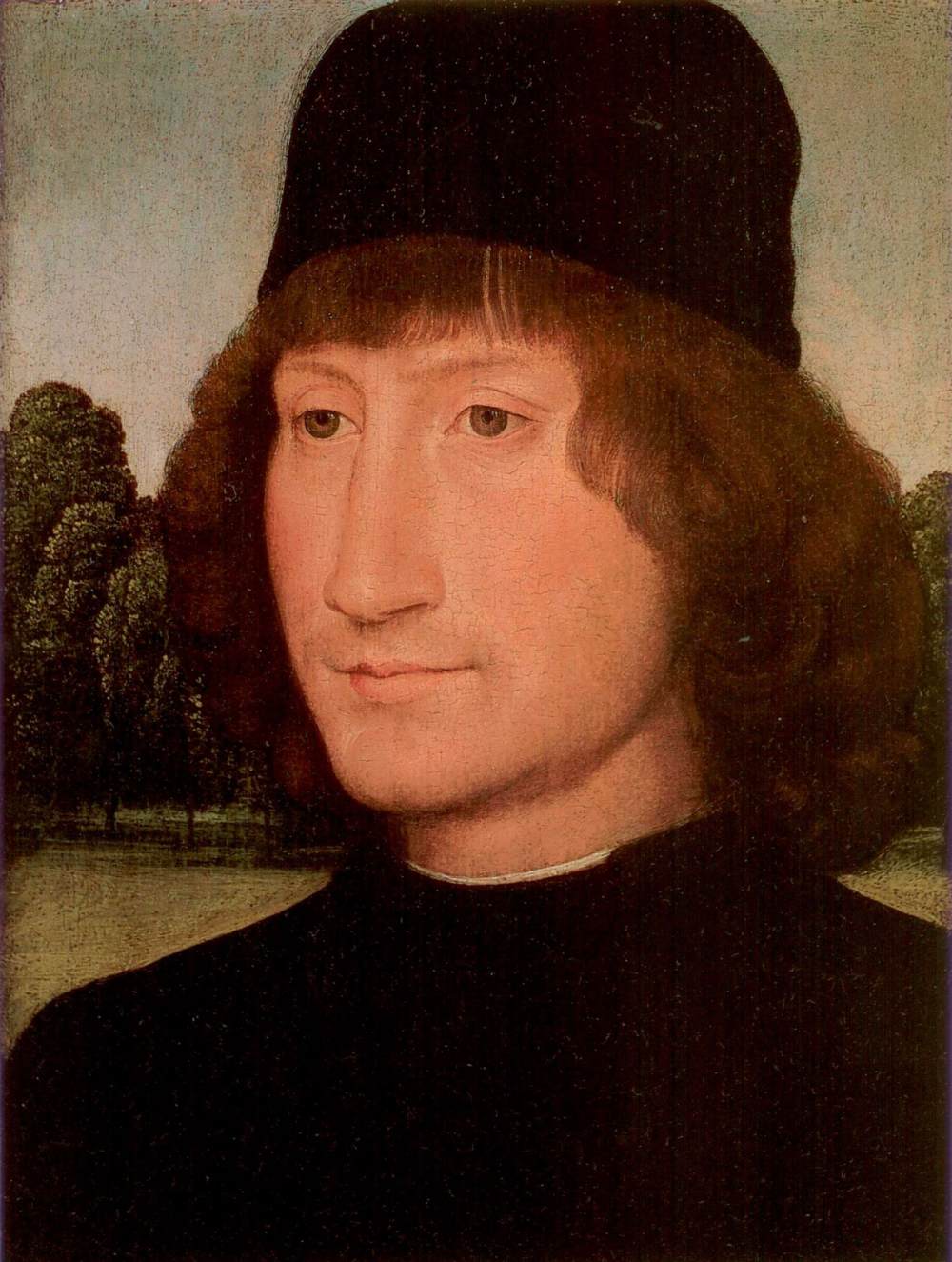 Portrait of a Young Man