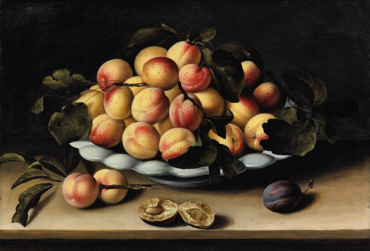 Still-Life