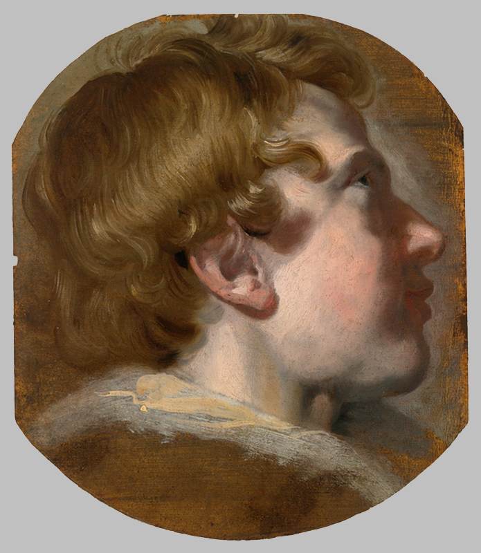 Study of a Boy's Head