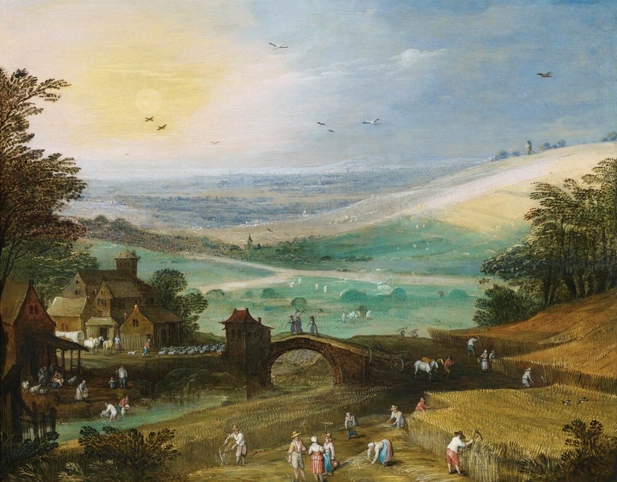 Summer Landscape