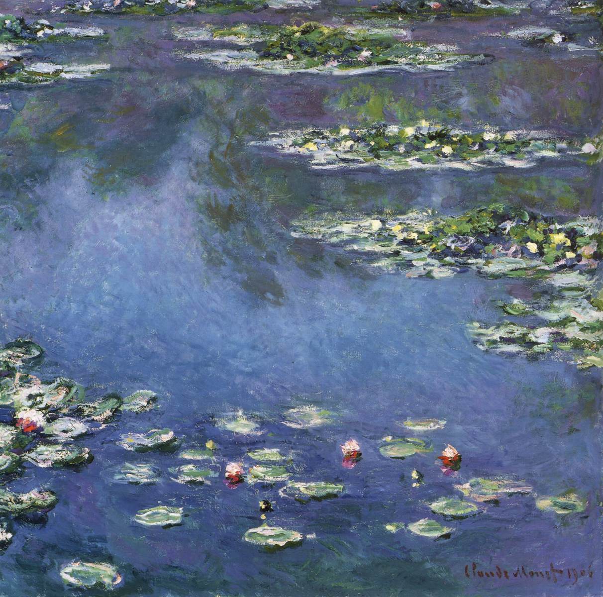Water Lilies