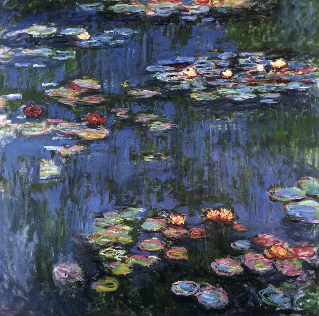Water Lilies