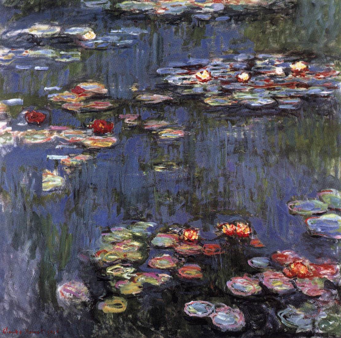 Water Lilies