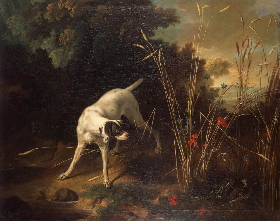 Dog Pointing a Partridge