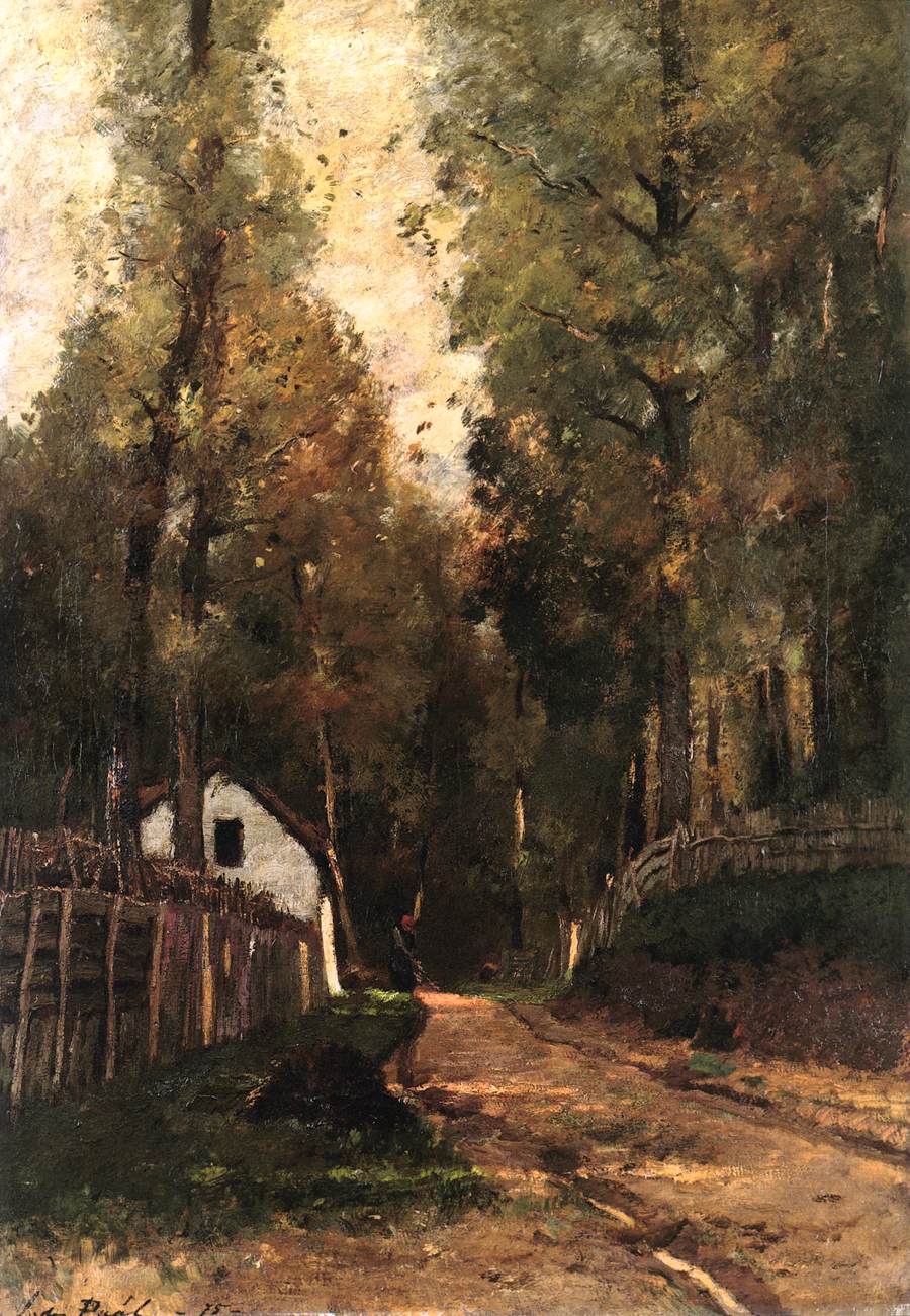 Morning in the Forest