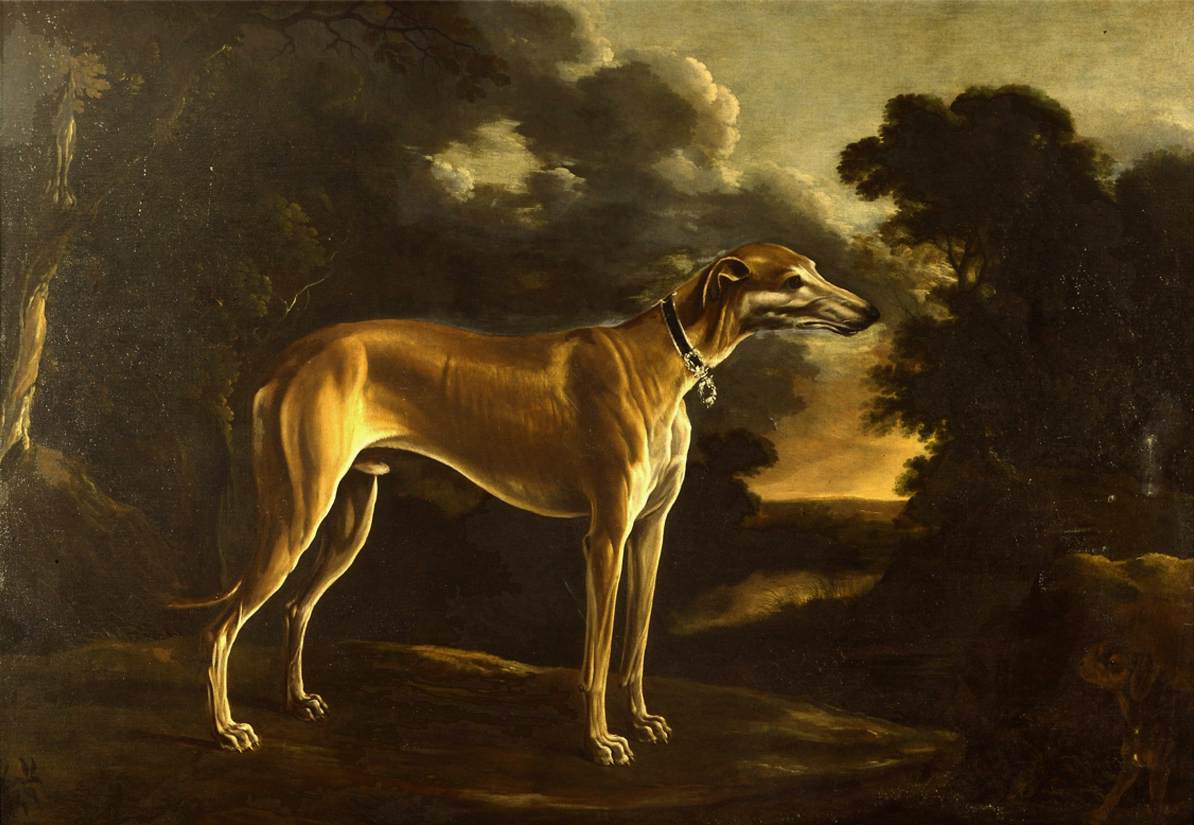 Portrait of a Greyhound with Pup