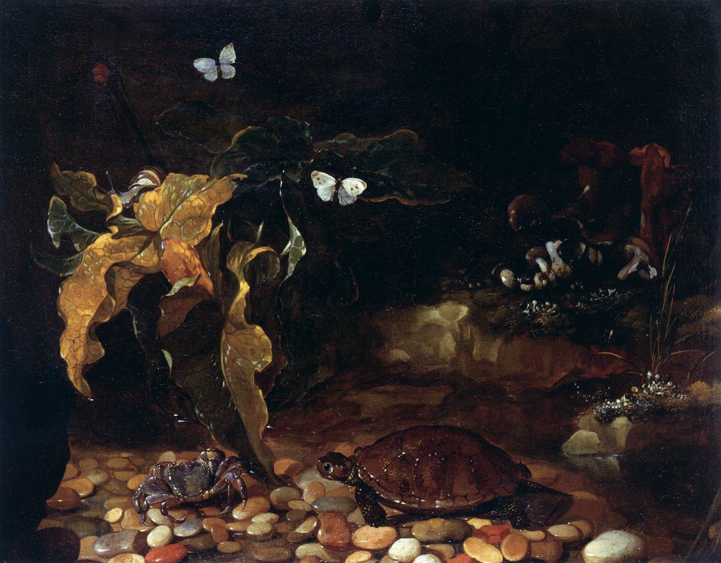 Underbrush with Tortoise and Crab