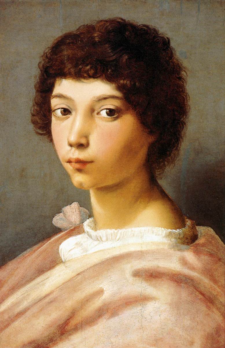 Portrait of a Young Man
