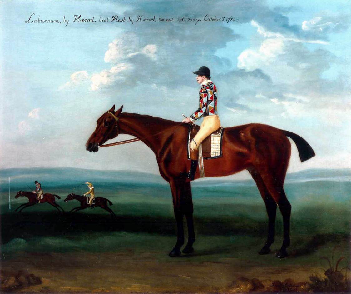 Lord Milsington's Bay Racehorse "Laburnum" with Jockey up at Newmarket