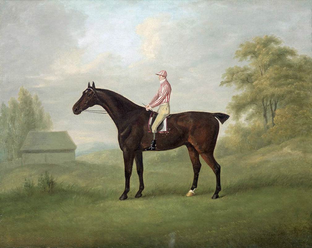 The Black Racehorse "Smolensko"