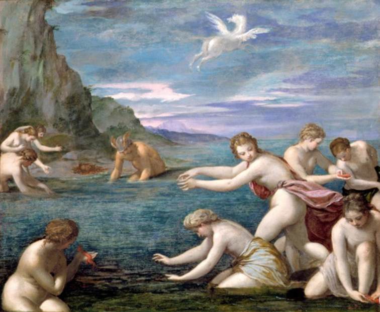 The Discovery of Coral