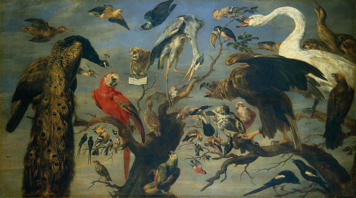 Concert of Birds