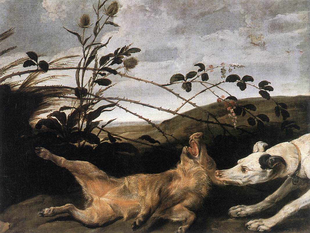 Greyhound Catching a Young Wild Boar