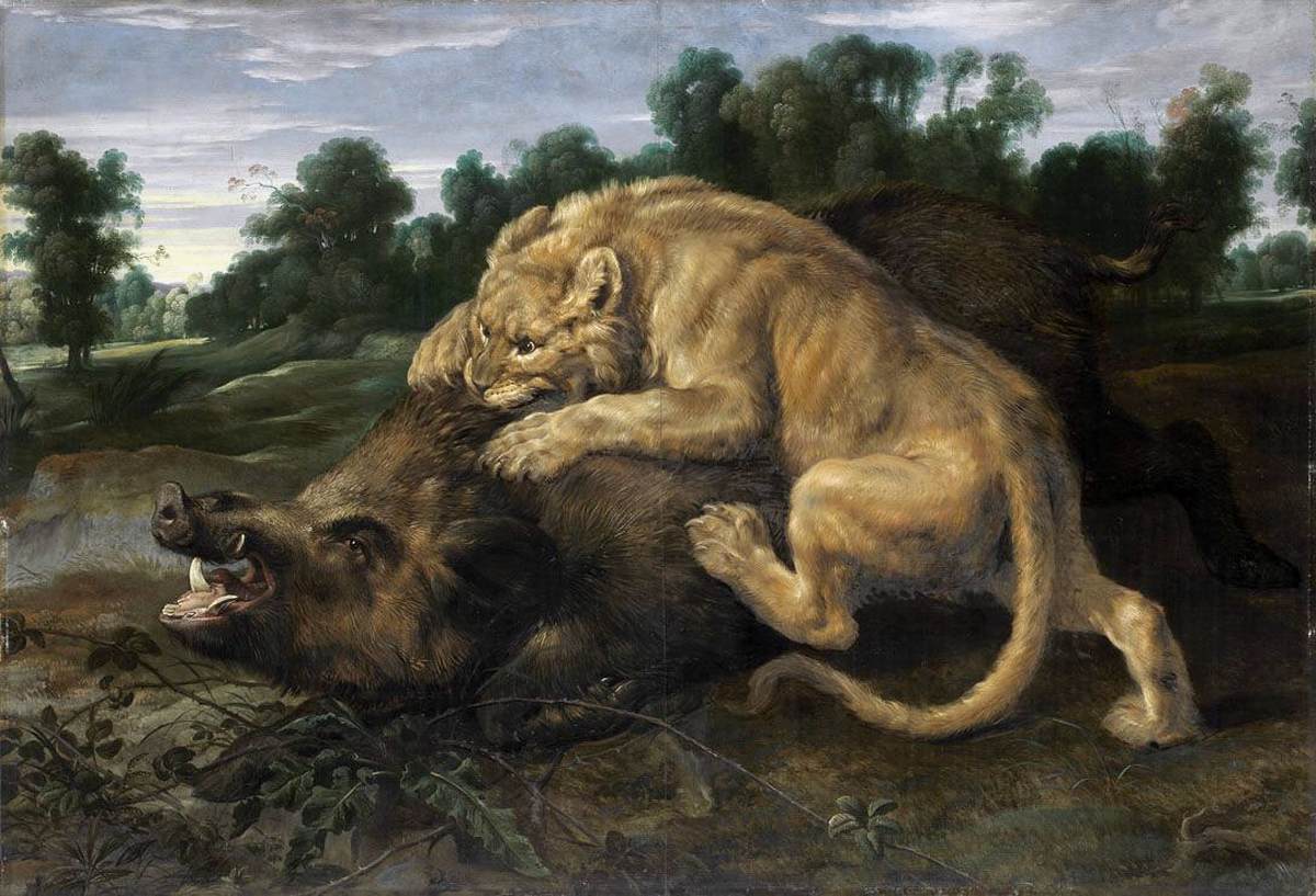 Lioness Attacking a Boar
