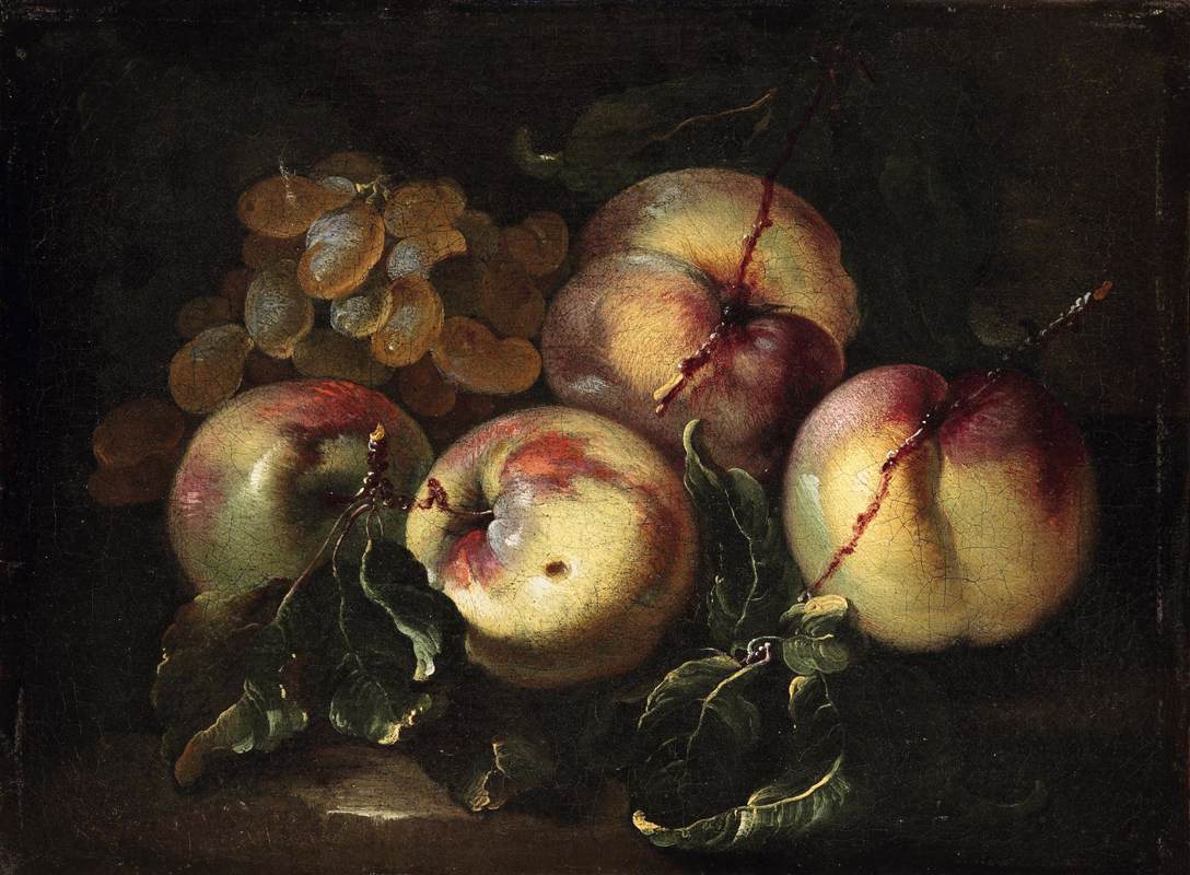 Still-Life of Fruit