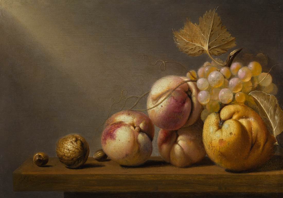 Still-Life