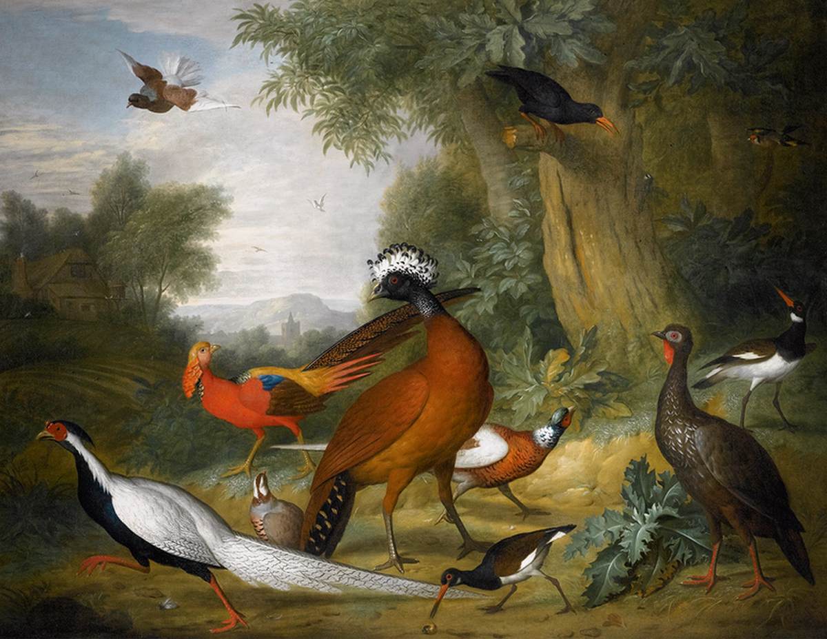 Birds in a Landscape