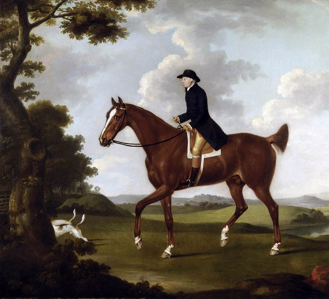 A Gentleman on His Bay Hunter