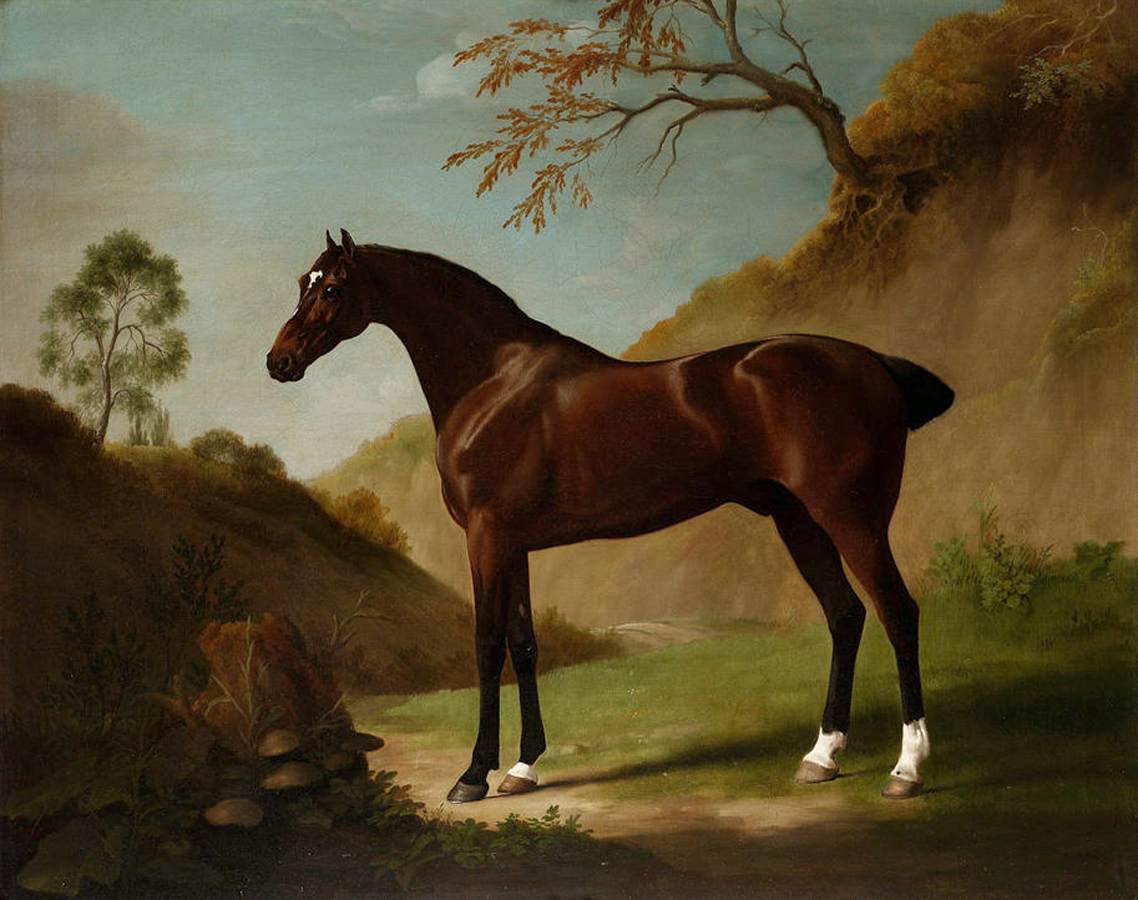 A Dark Bay Thoroughbred in a Landscape