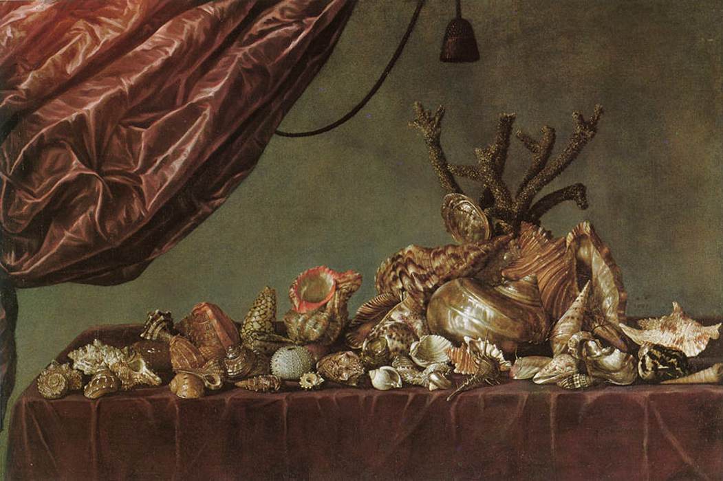 Still-Life with Shells