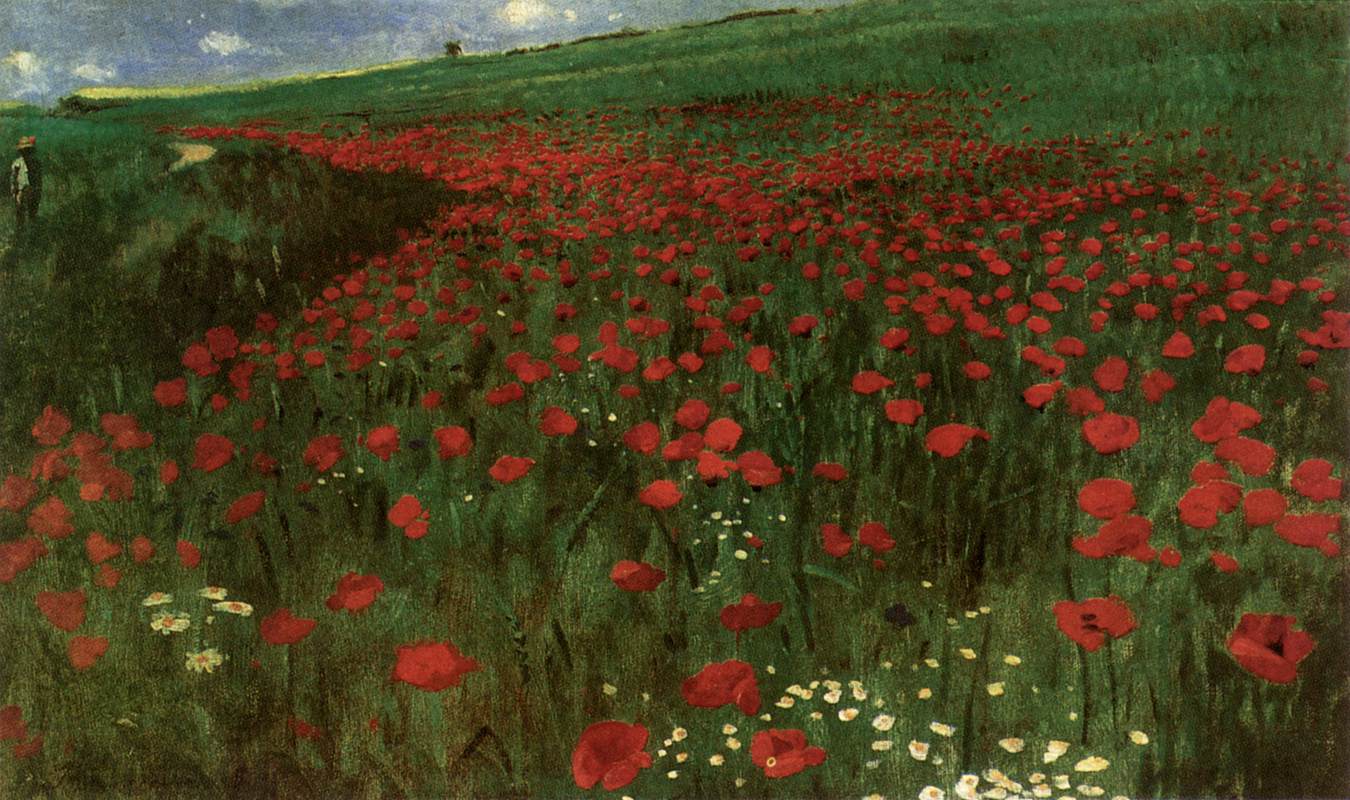 A Field of Poppies