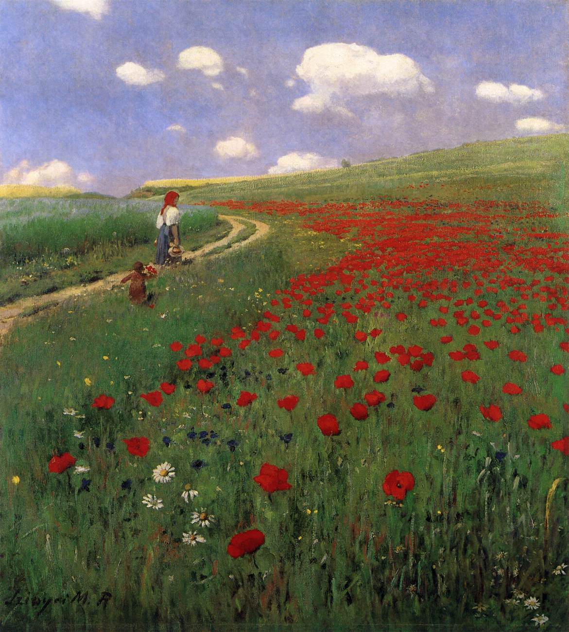 Poppies in the Field