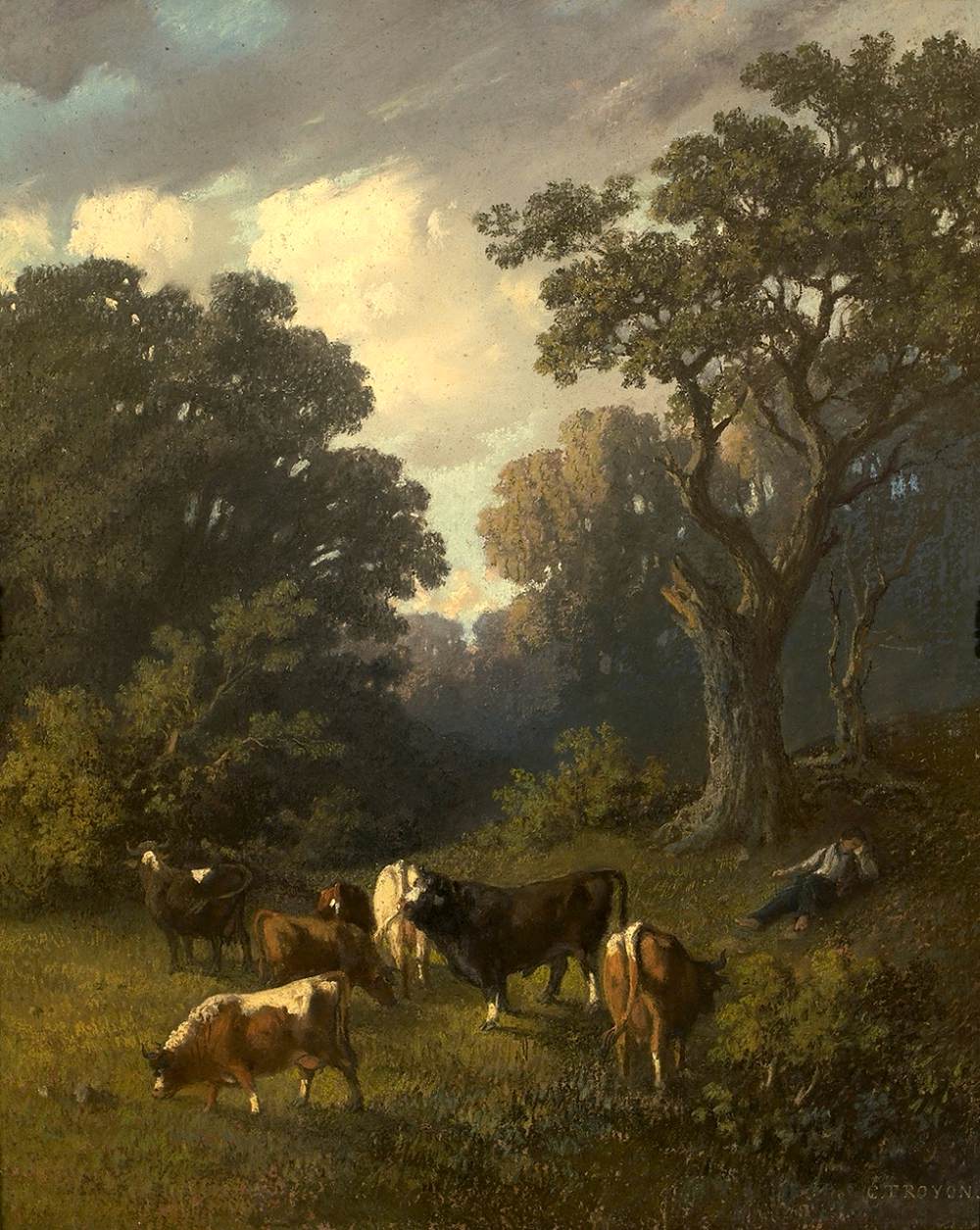 Cows Grazing in a Glade