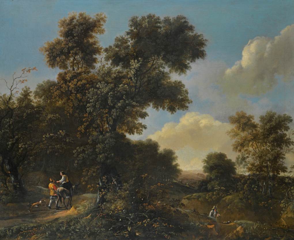 Wooded Landscape