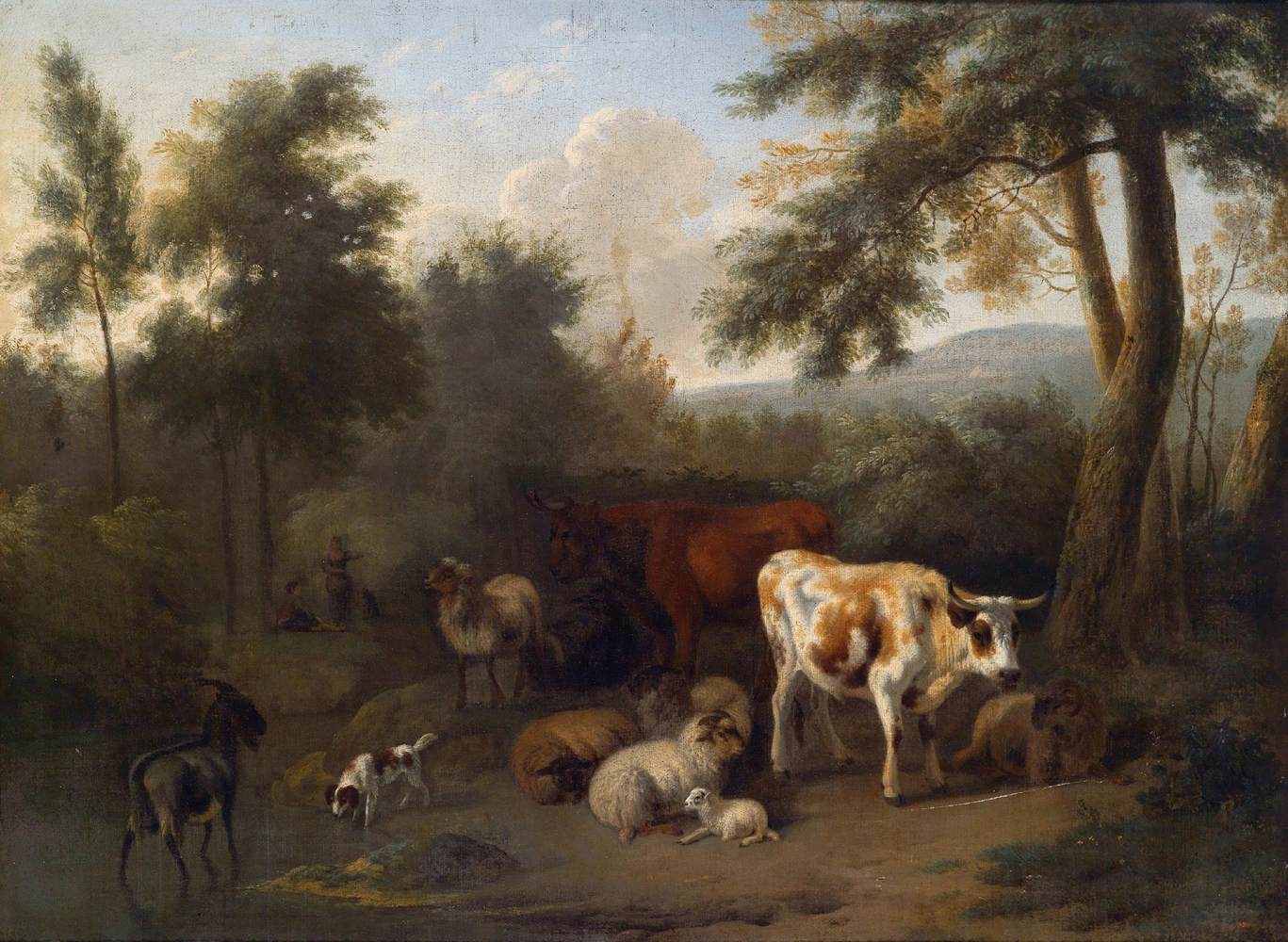 Wooded Landscape