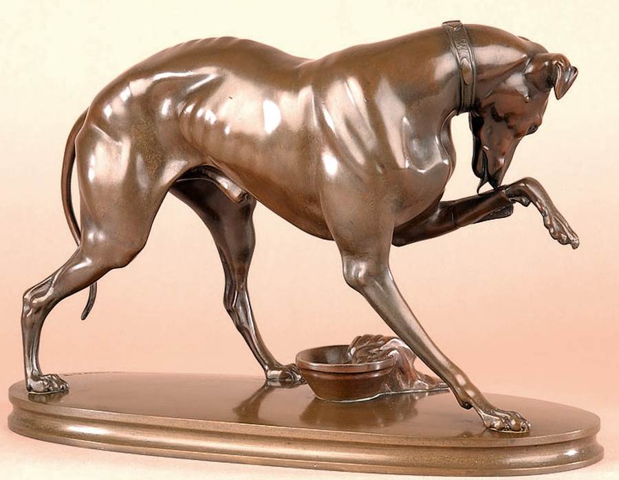 Greyhound