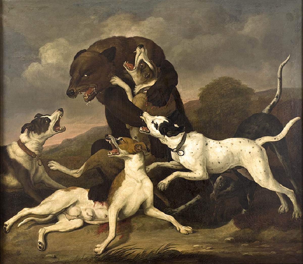 Bear Hunt