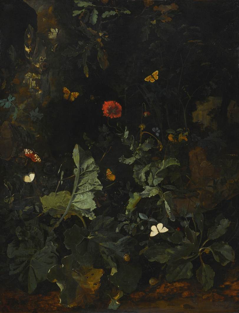 Forest Floor Still-Life with Flowering Plants and Butterflies