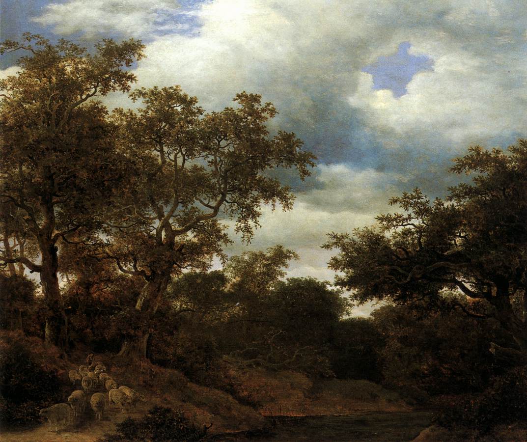 Oak Wood with Stagnant Water