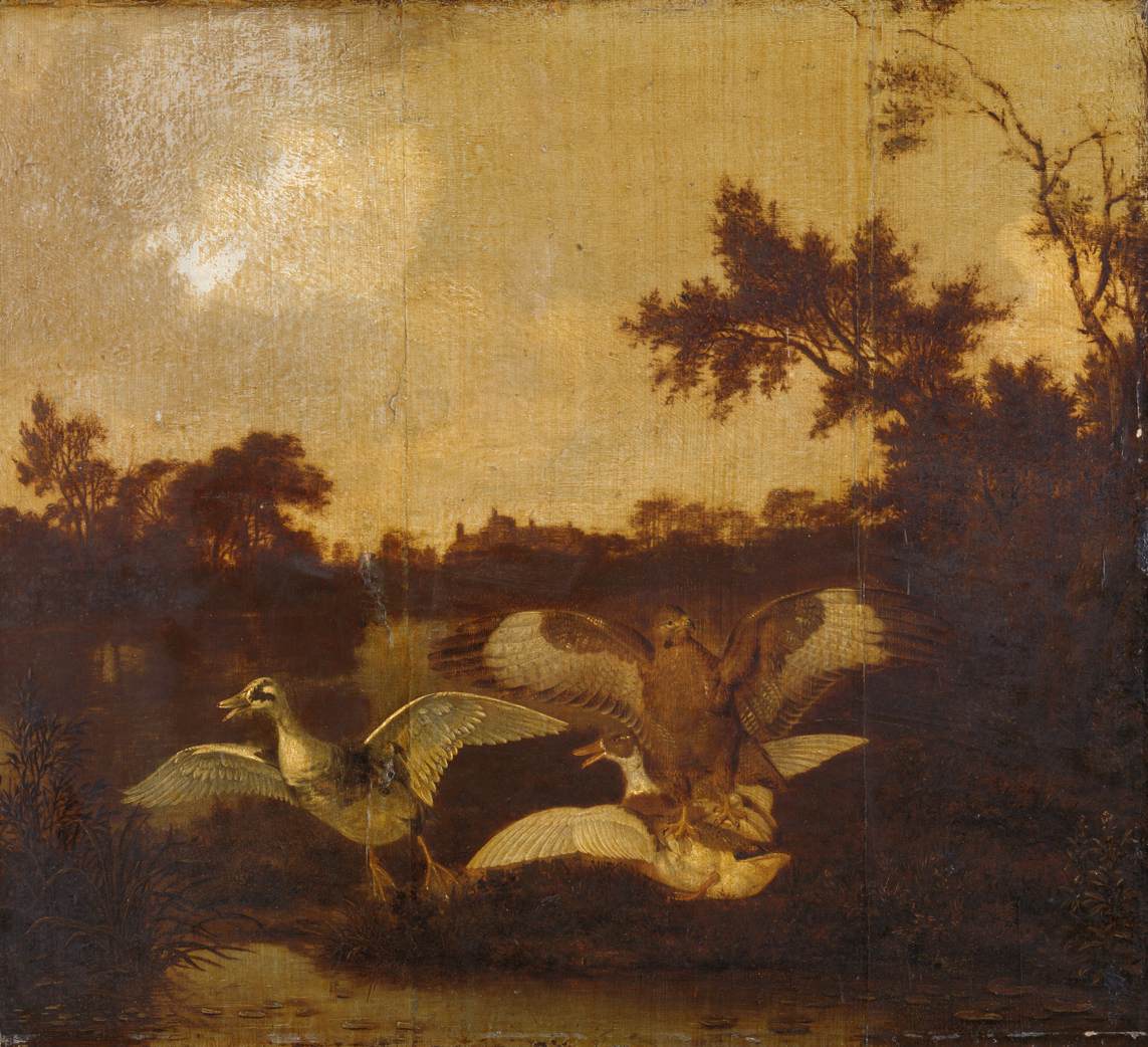 A Buzzard Attacks Two Ducks