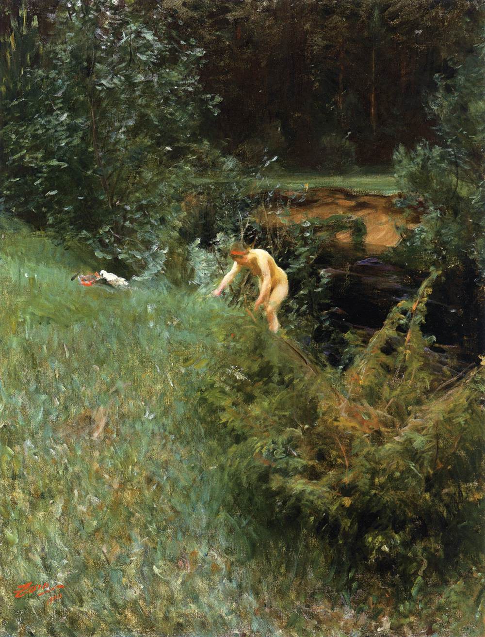 Brook